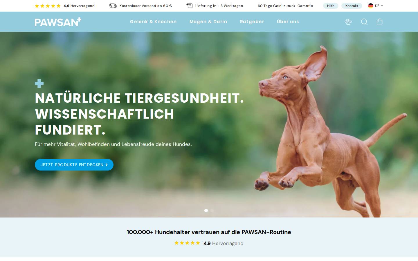 pawsan.de homepage screenshot