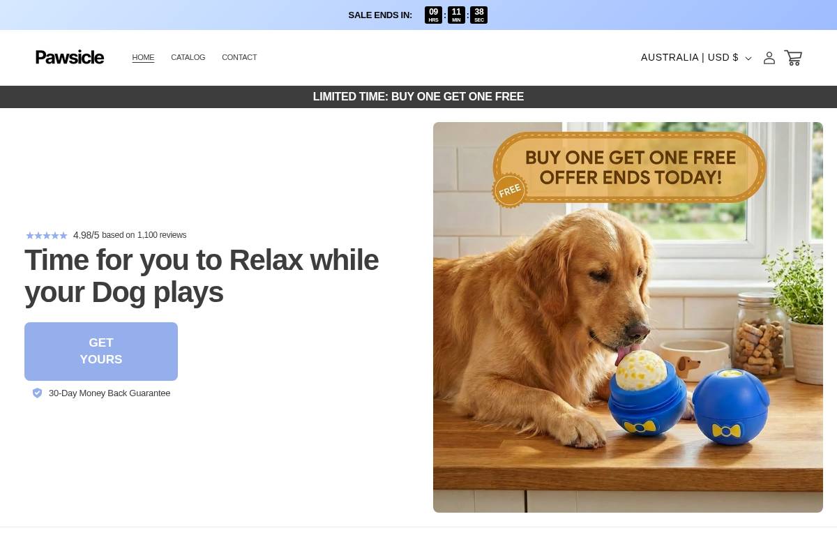 Pawsicle homepage screenshot