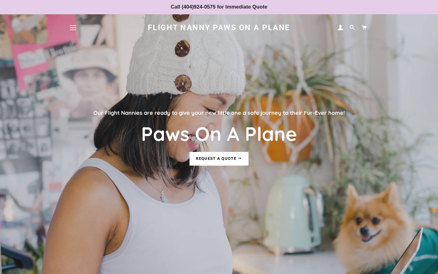 pawsonaplane.com homepage screenshot