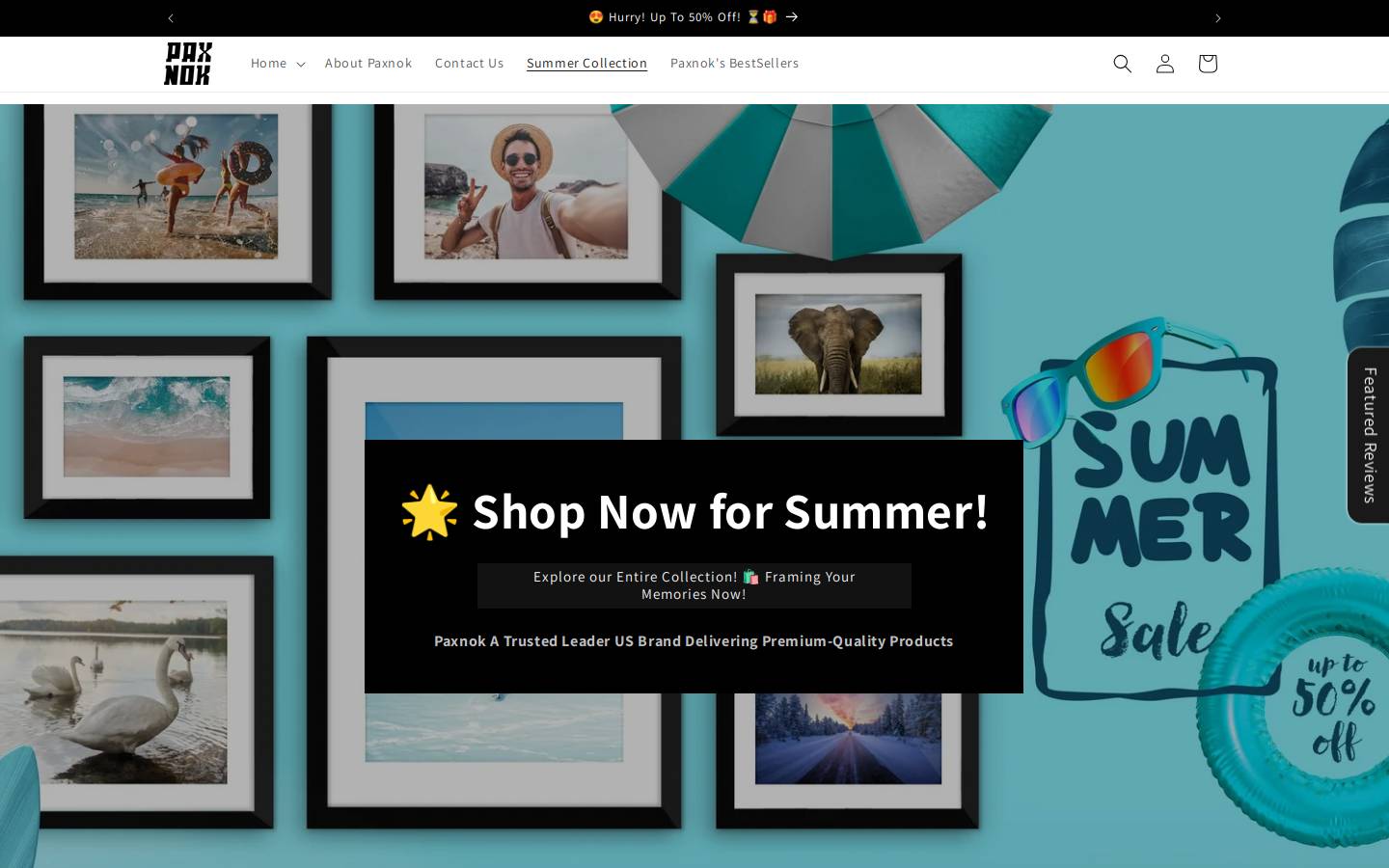 paxnok.com homepage screenshot