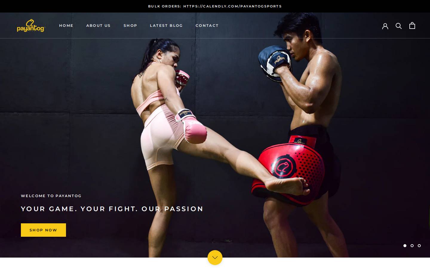 payantog-sports.com homepage screenshot