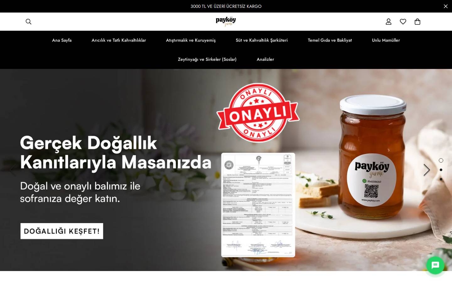 paykoy.com homepage screenshot