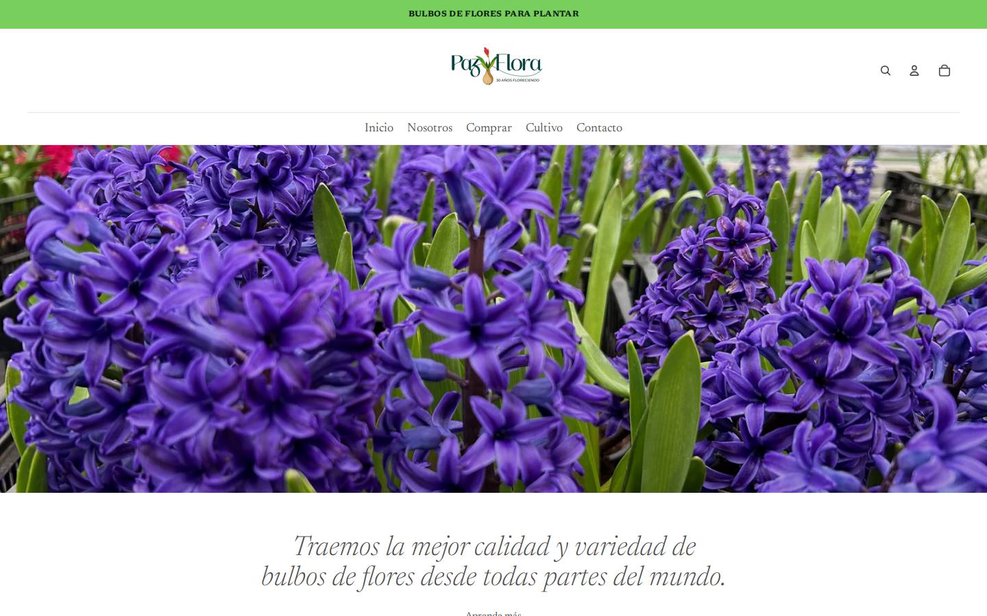 pazyflora.cl homepage screenshot