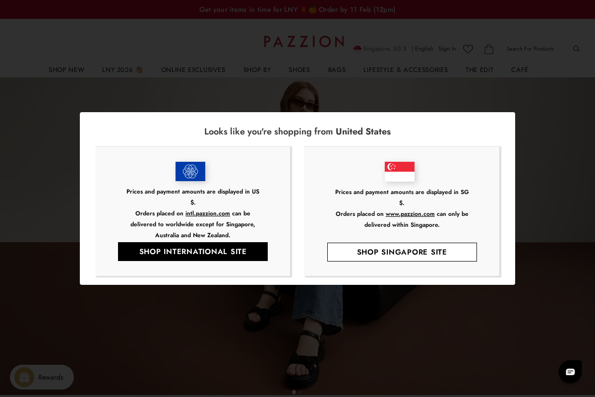 PAZZION homepage screenshot