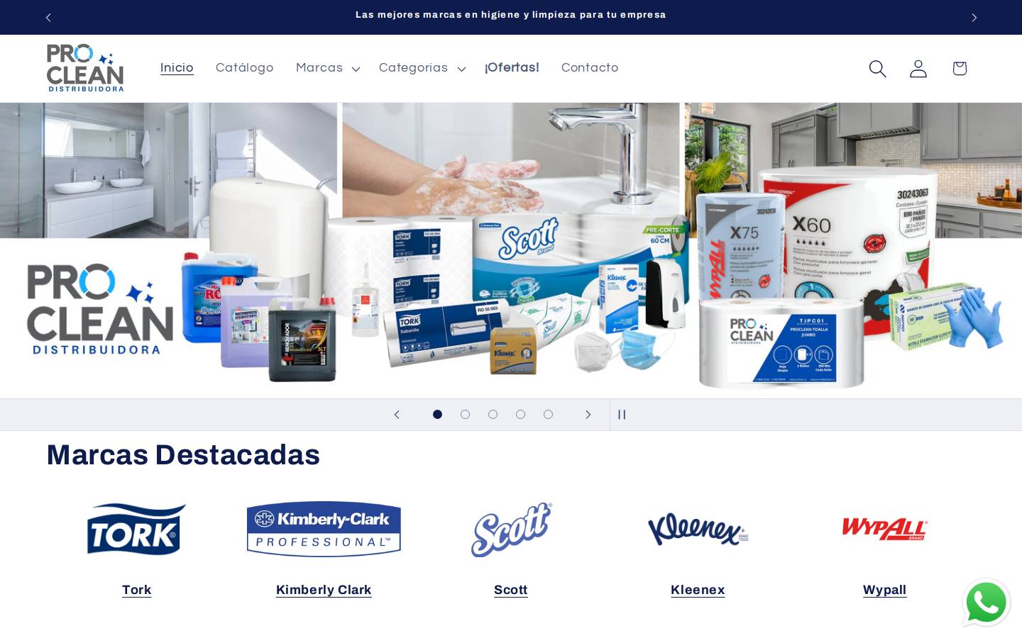 pclean.cl homepage screenshot