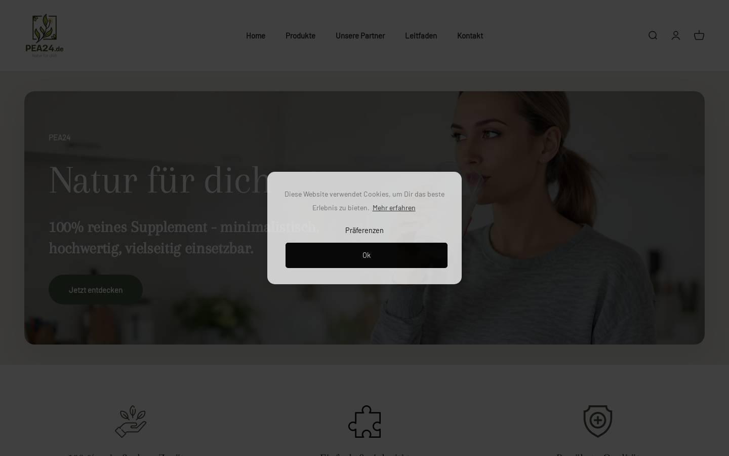 pea24.de homepage screenshot