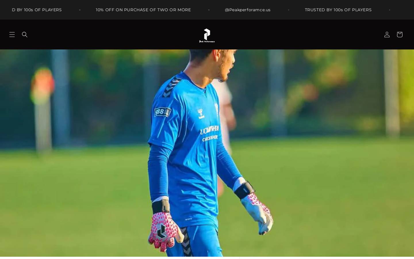peakperformances.us homepage screenshot