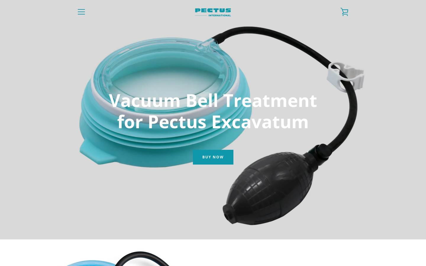 Pectus International homepage screenshot