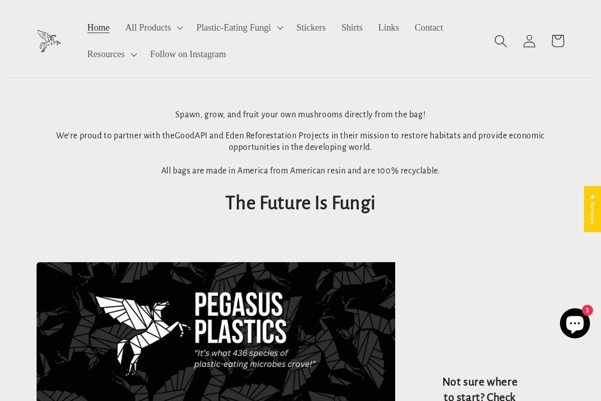 pegasusbags.com homepage screenshot