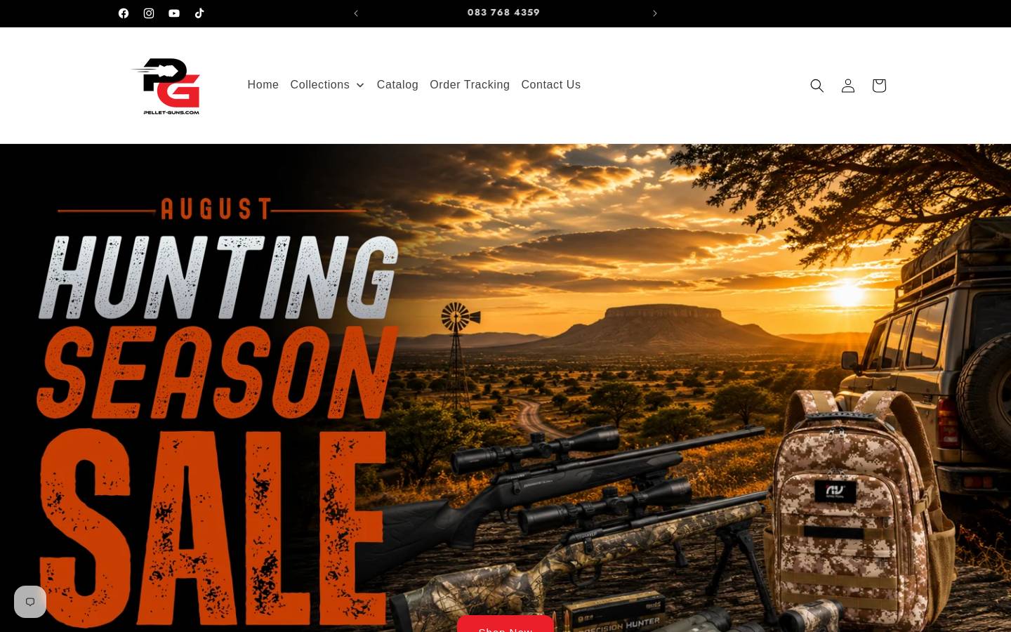 pellet-guns.com homepage screenshot