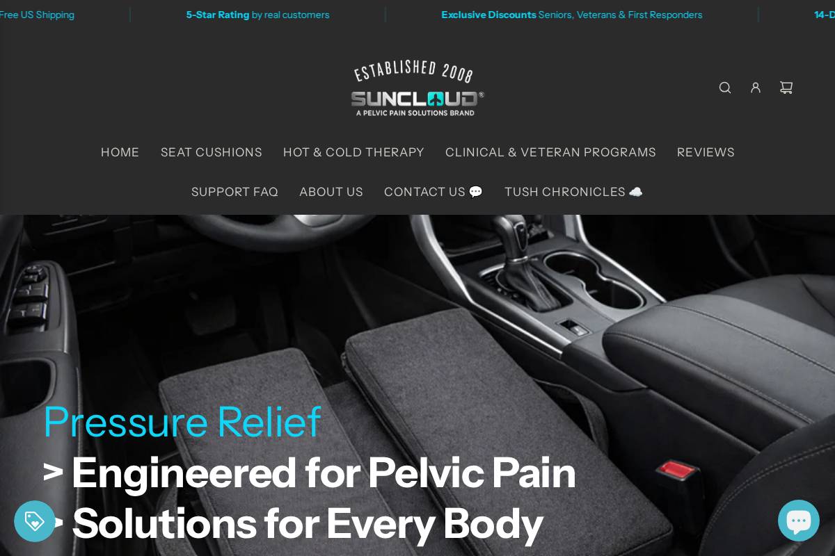 pelvicpainsolutions.com homepage screenshot