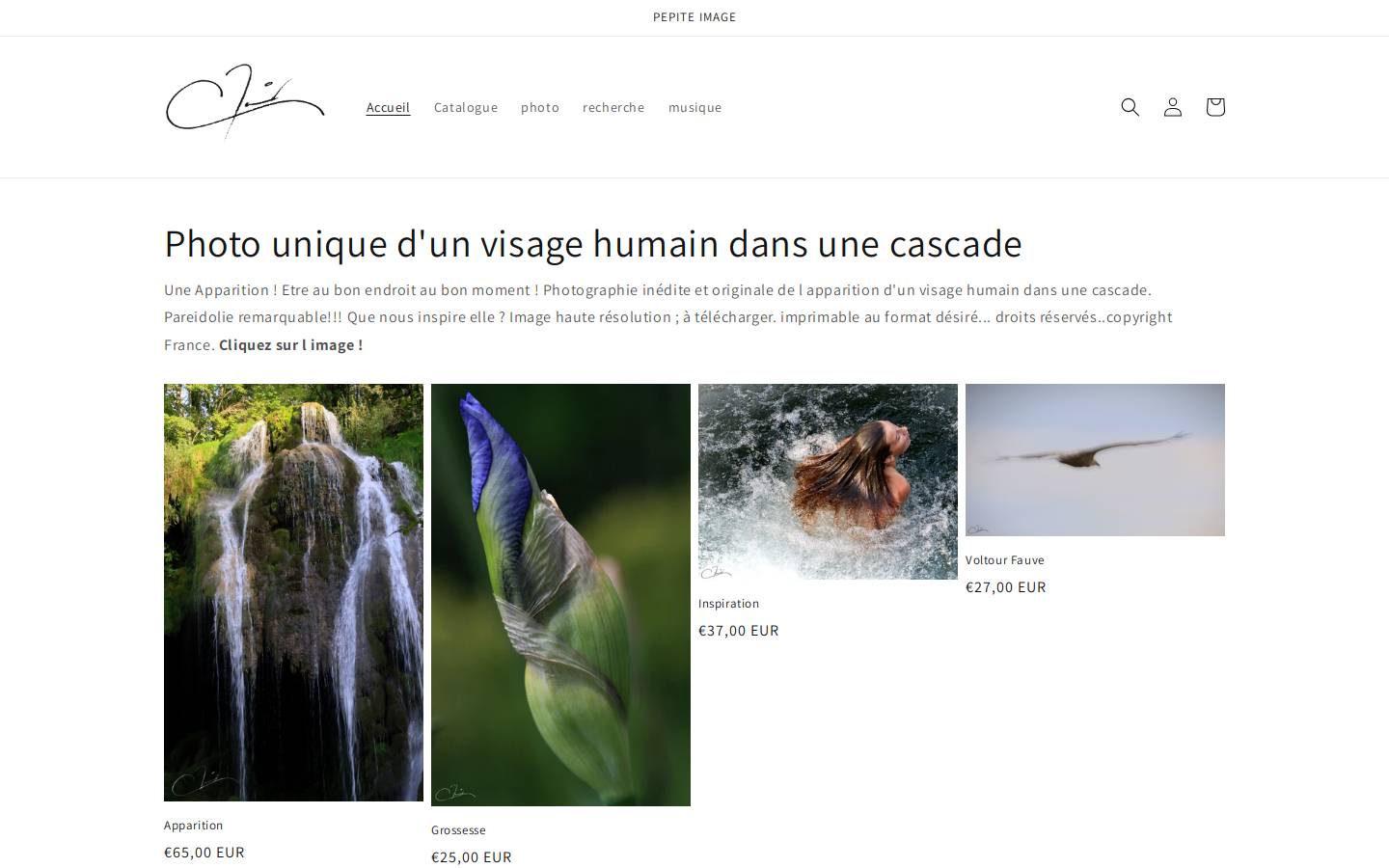 pepite-image.com homepage screenshot