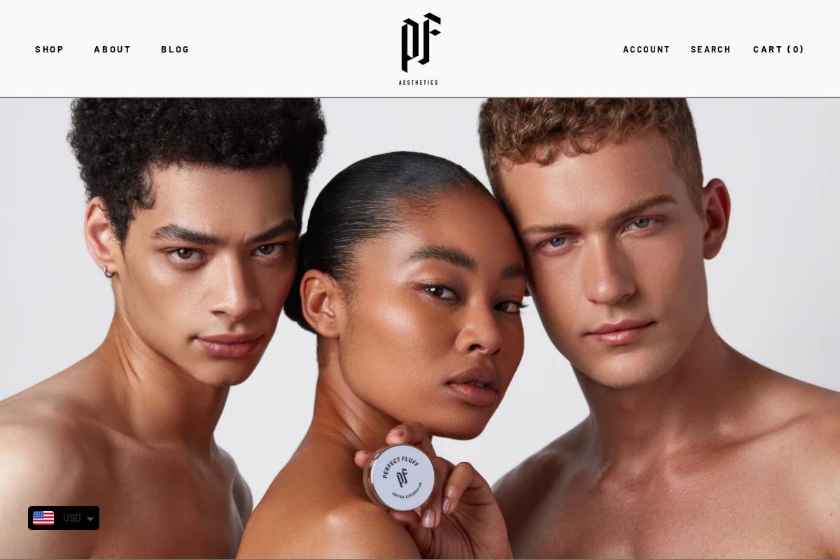 perfectframeaesthetics.com homepage screenshot