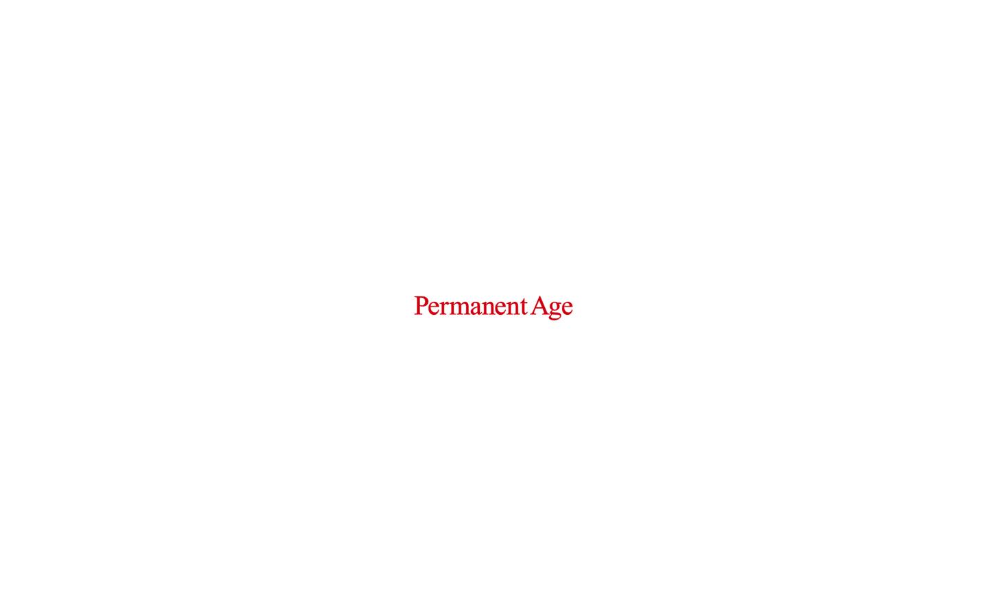 permanent-age.co.jp homepage screenshot