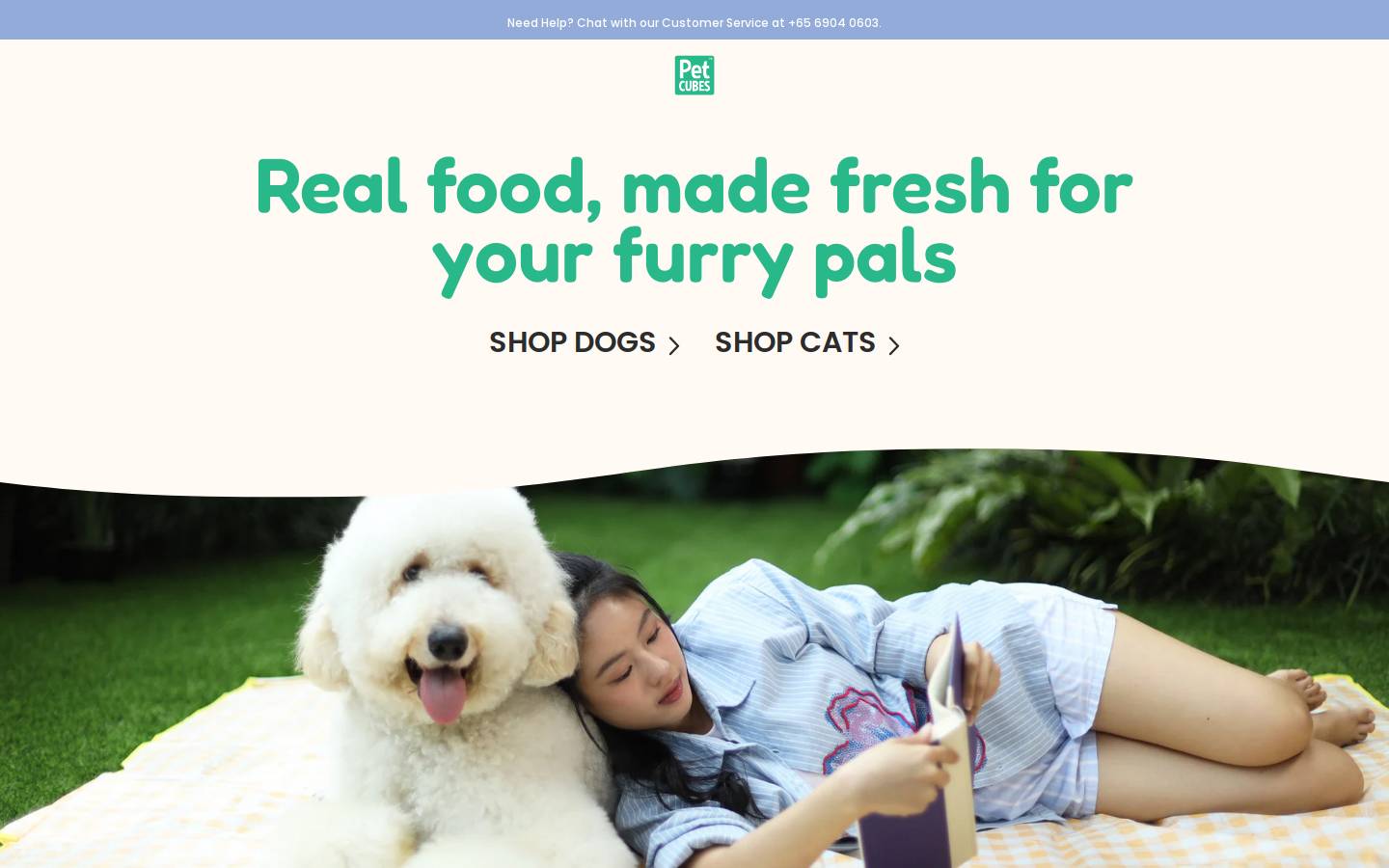 petcubes.co homepage screenshot