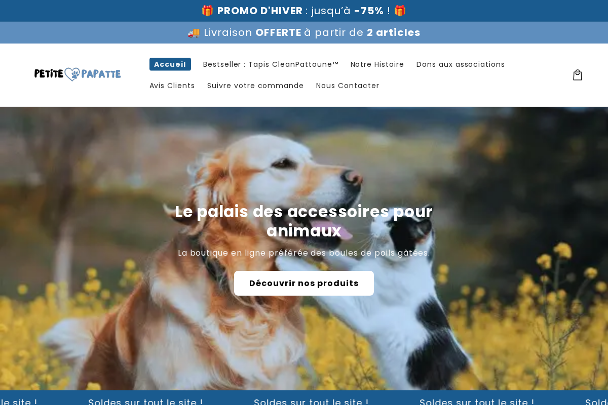 petitepapatte.com homepage screenshot