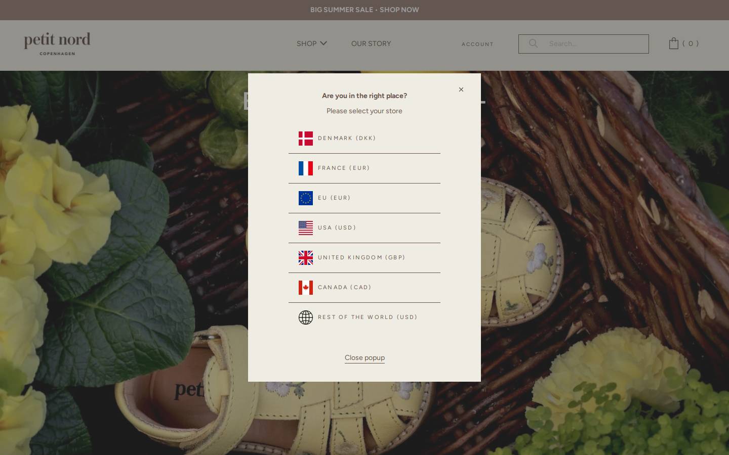 Petitnord homepage screenshot