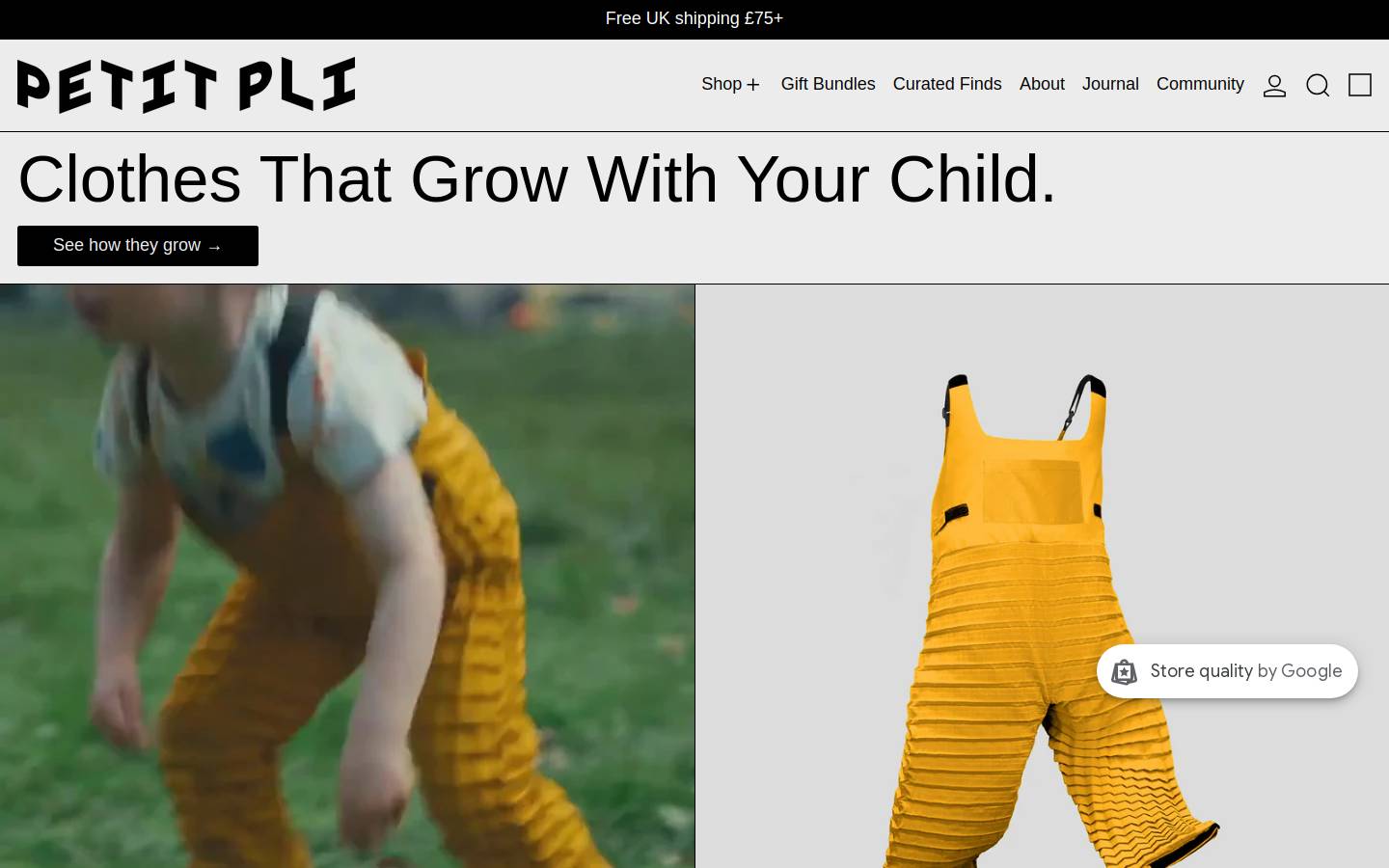 PETIT PLI homepage screenshot