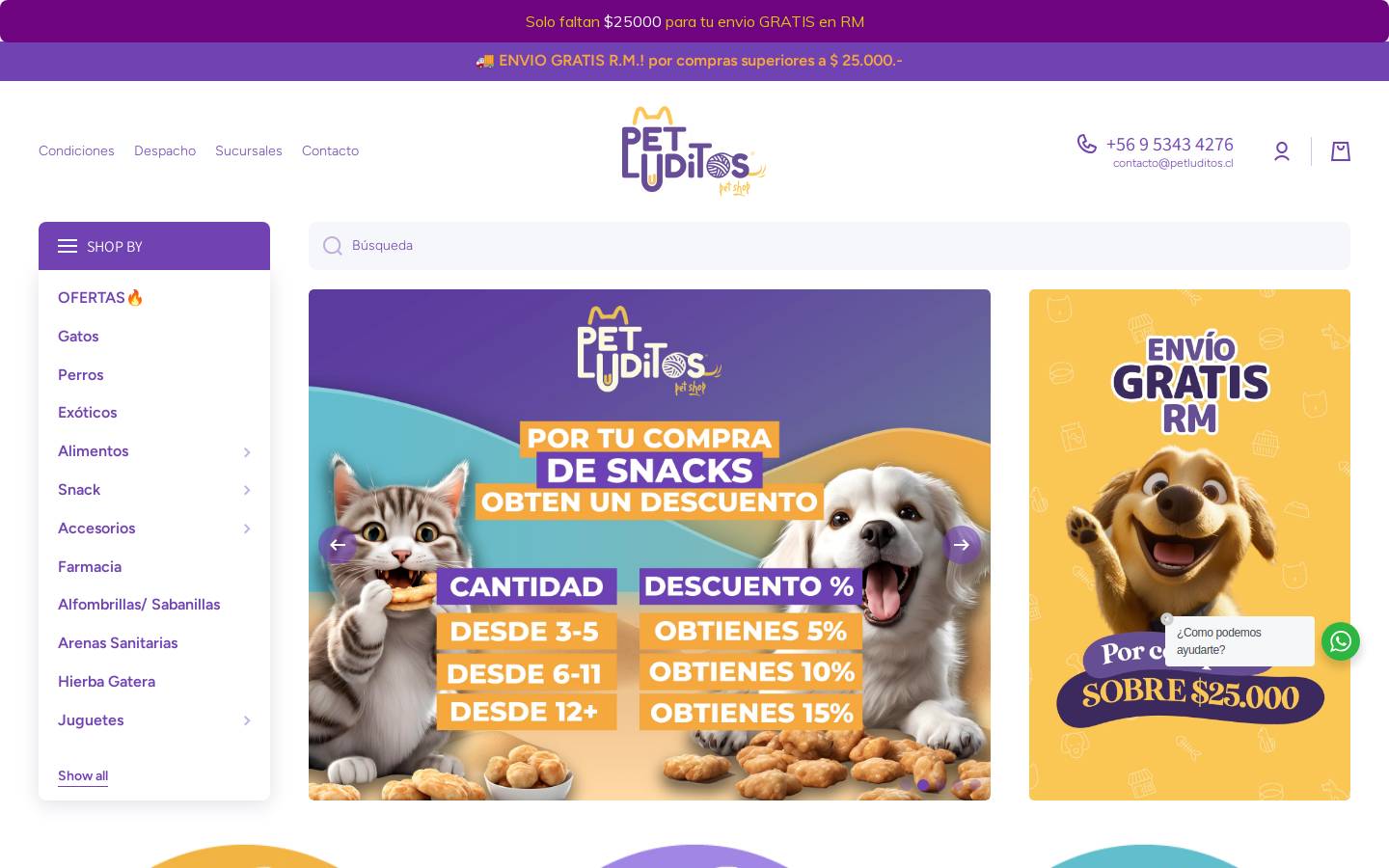 petluditos.cl homepage screenshot