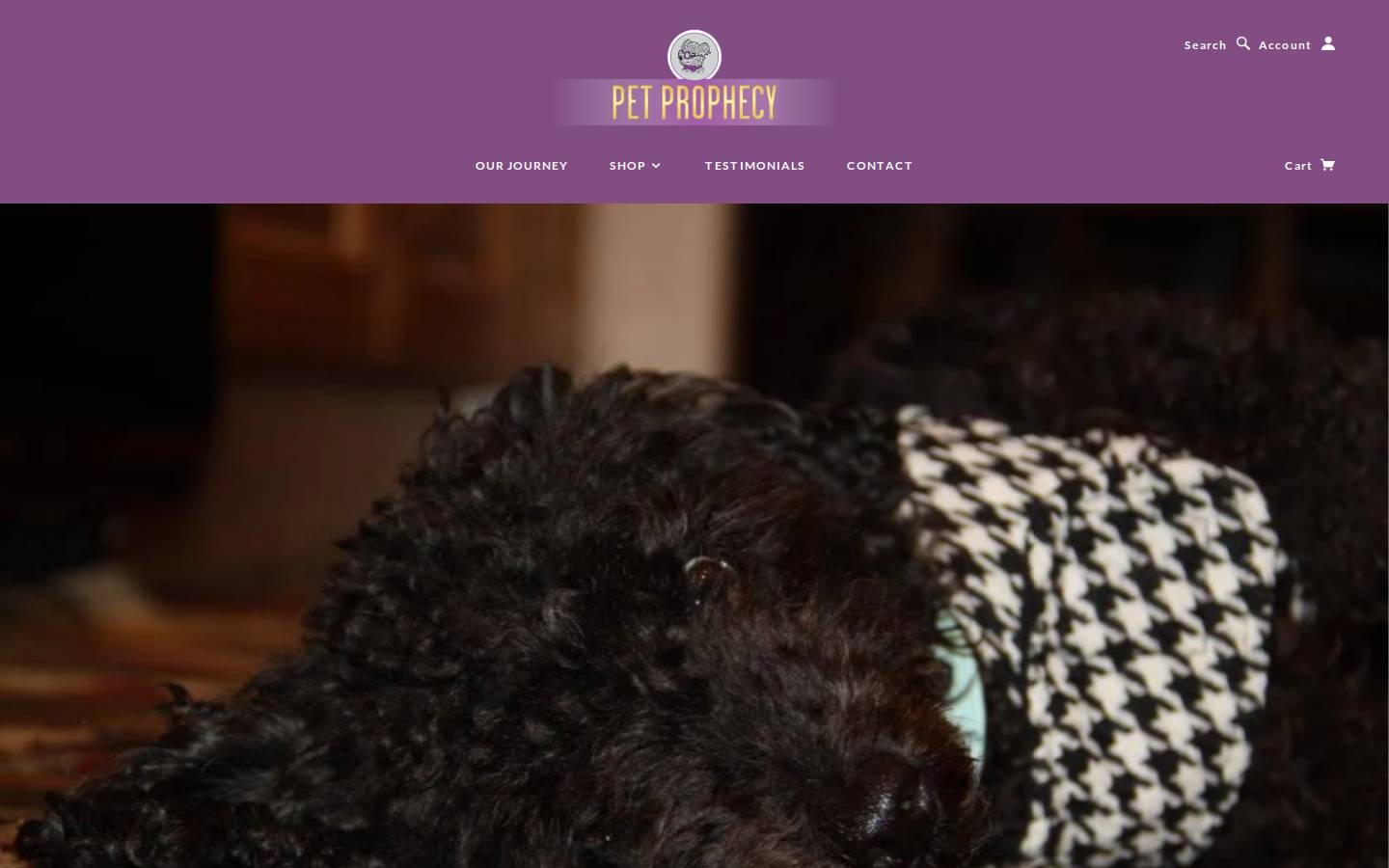 petprophecy.com homepage screenshot