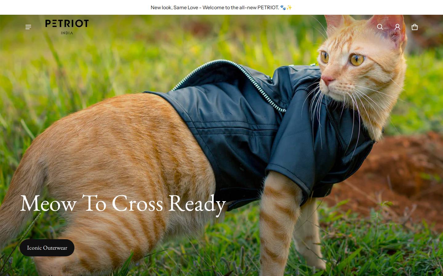 petriot.in homepage screenshot
