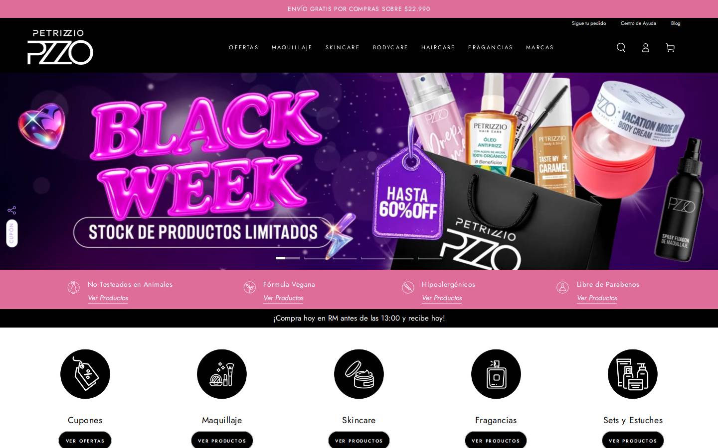 petrizzio.cl homepage screenshot