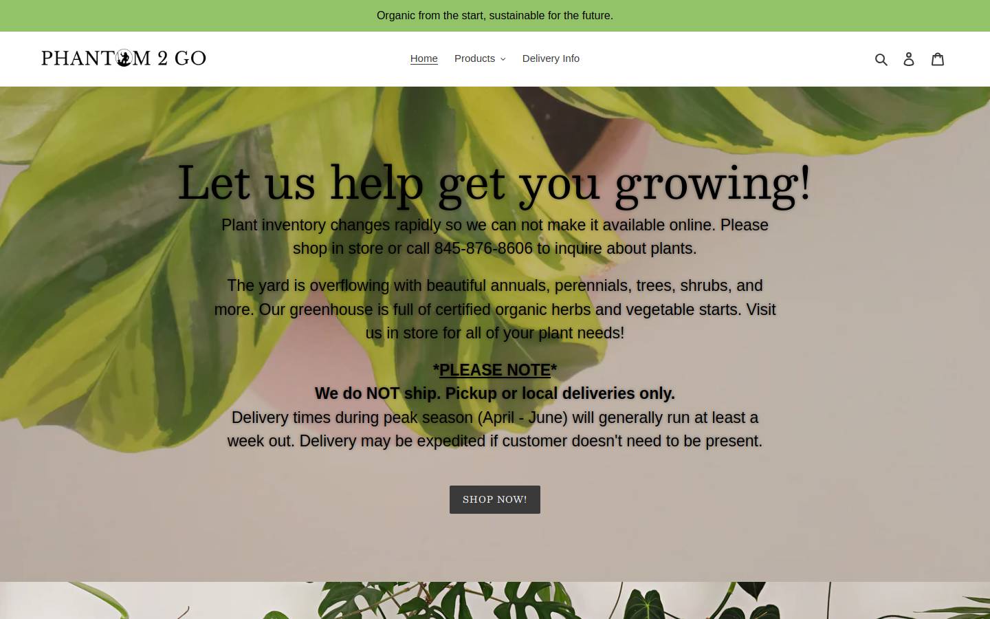 phantom2go.com homepage screenshot