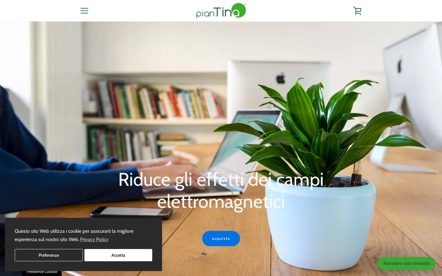 pian-tina.com homepage screenshot