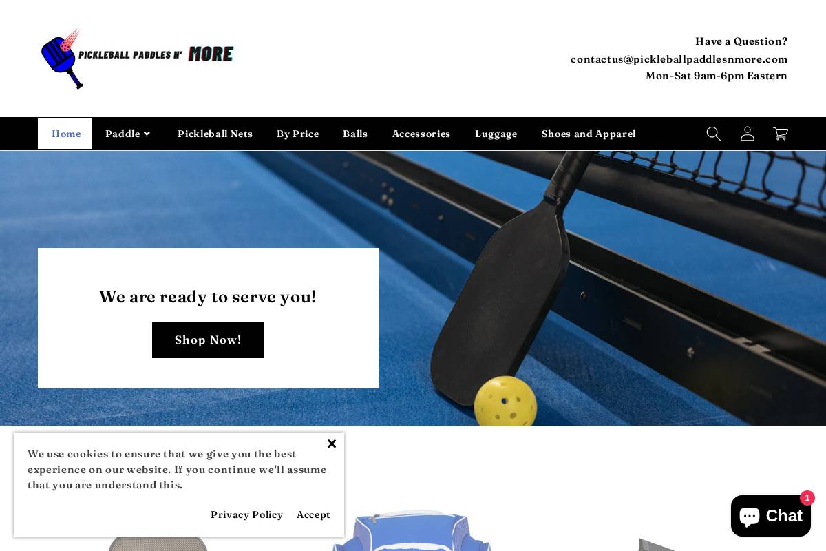 pickleballpaddlesnmore.com homepage screenshot