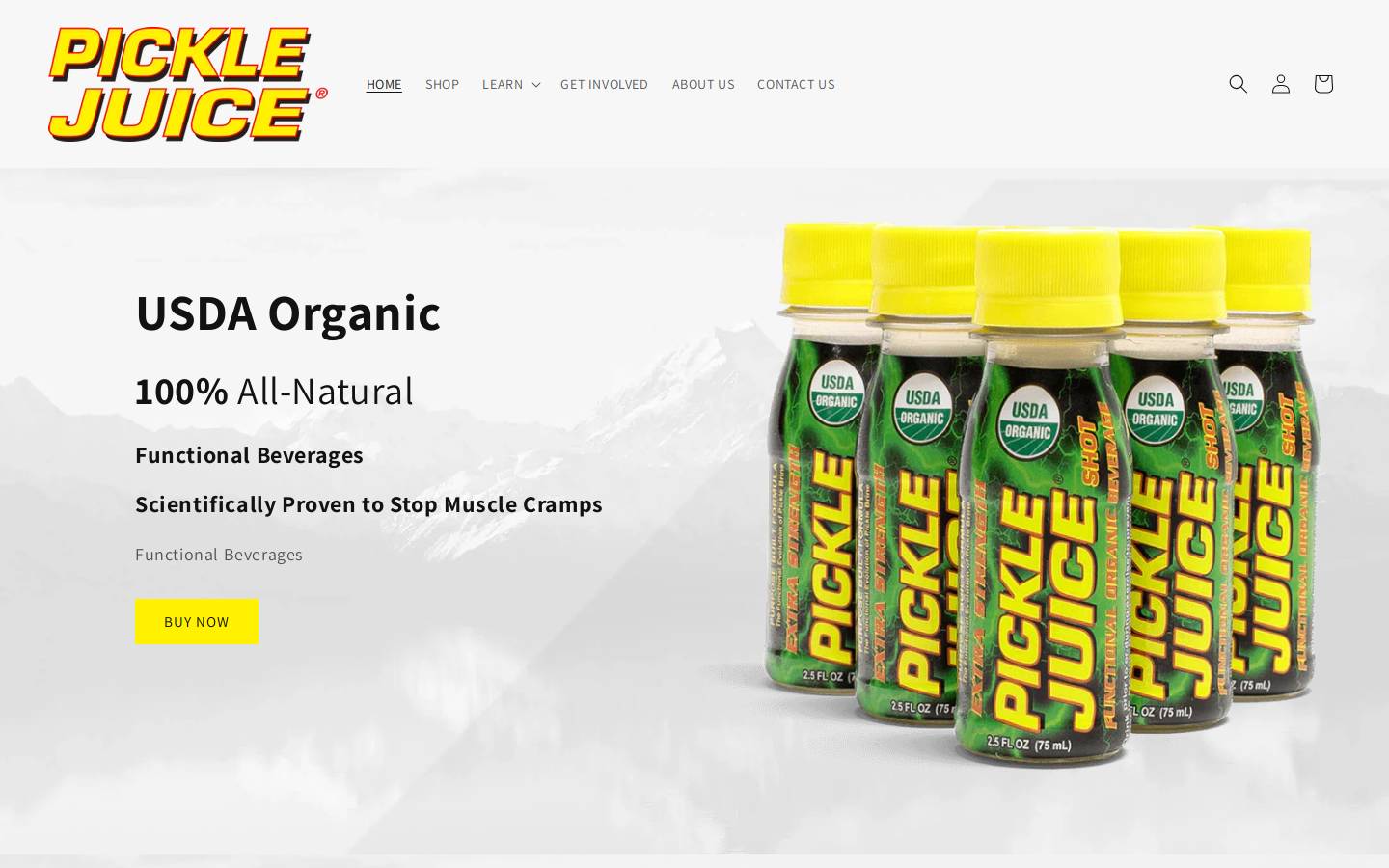 picklepower.com homepage screenshot