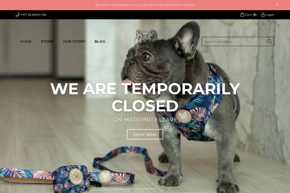 picklesdxb.com homepage screenshot