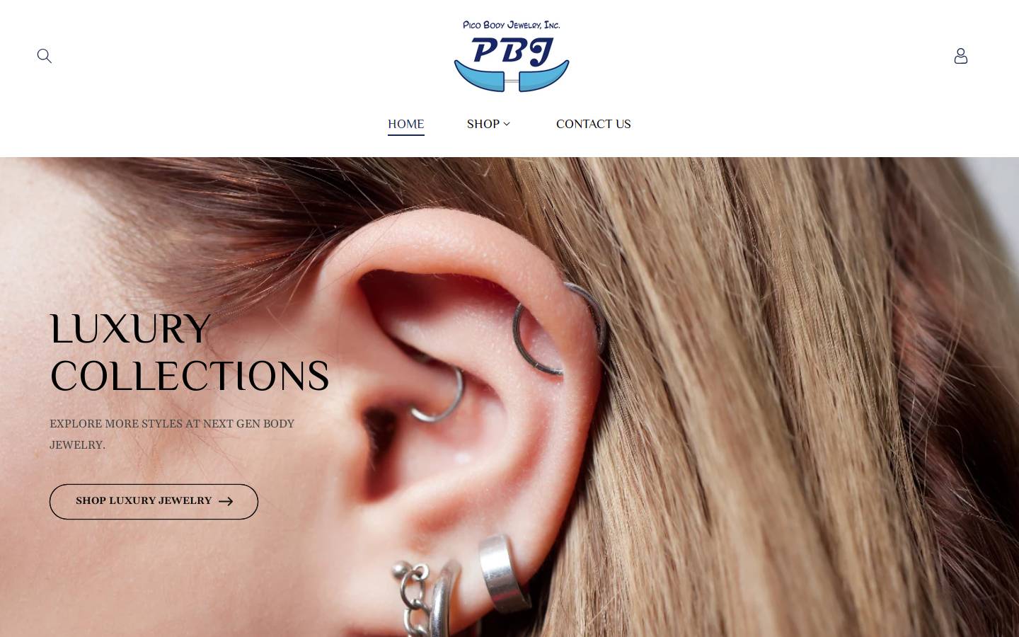 picobj.com homepage screenshot