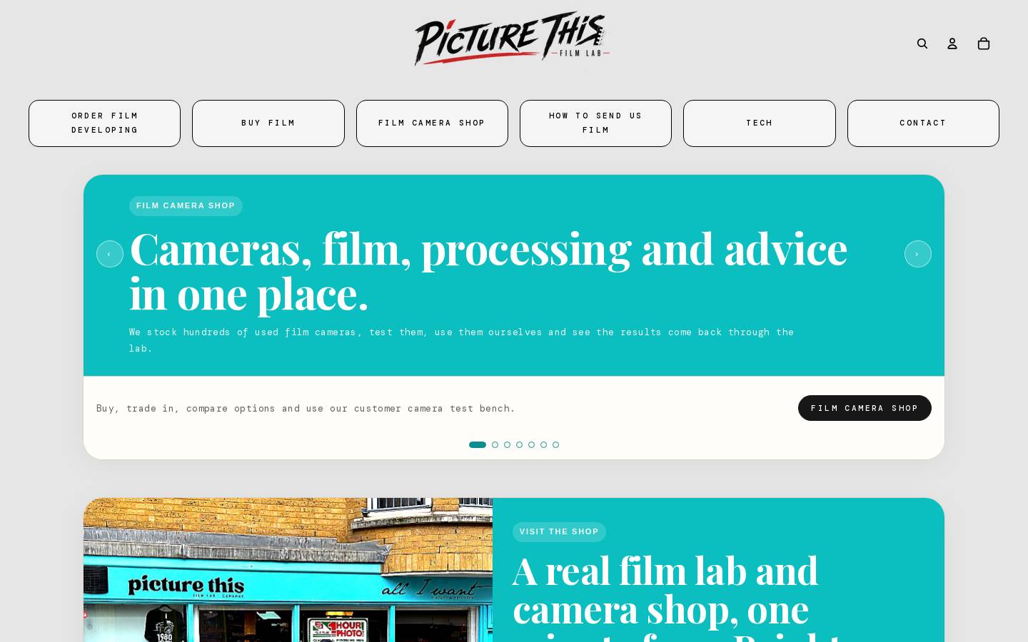 picturethisfilmlab.com homepage screenshot