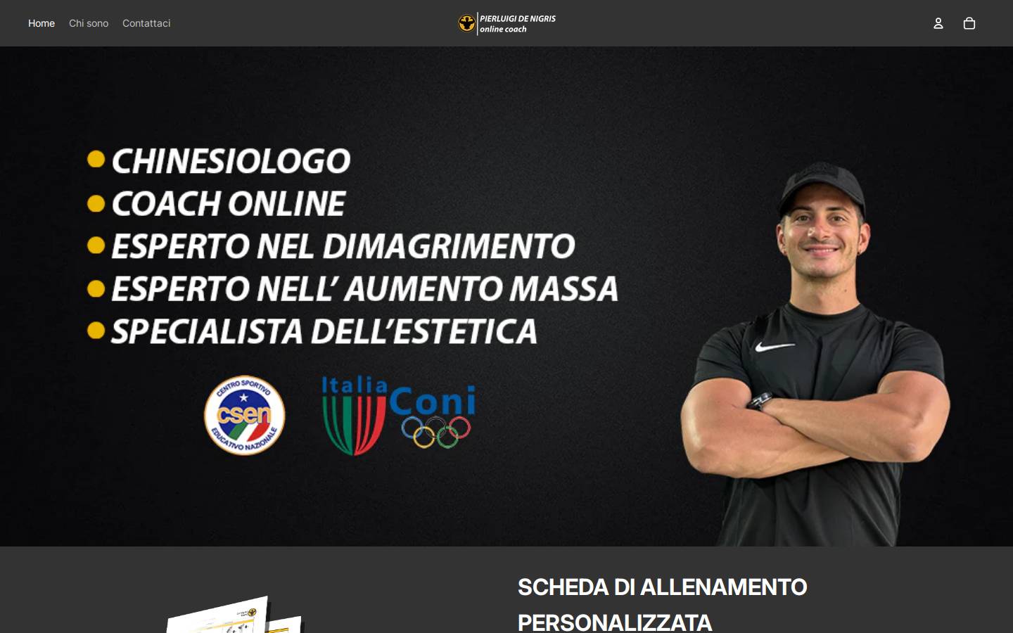 pierluigidenigris.com homepage screenshot