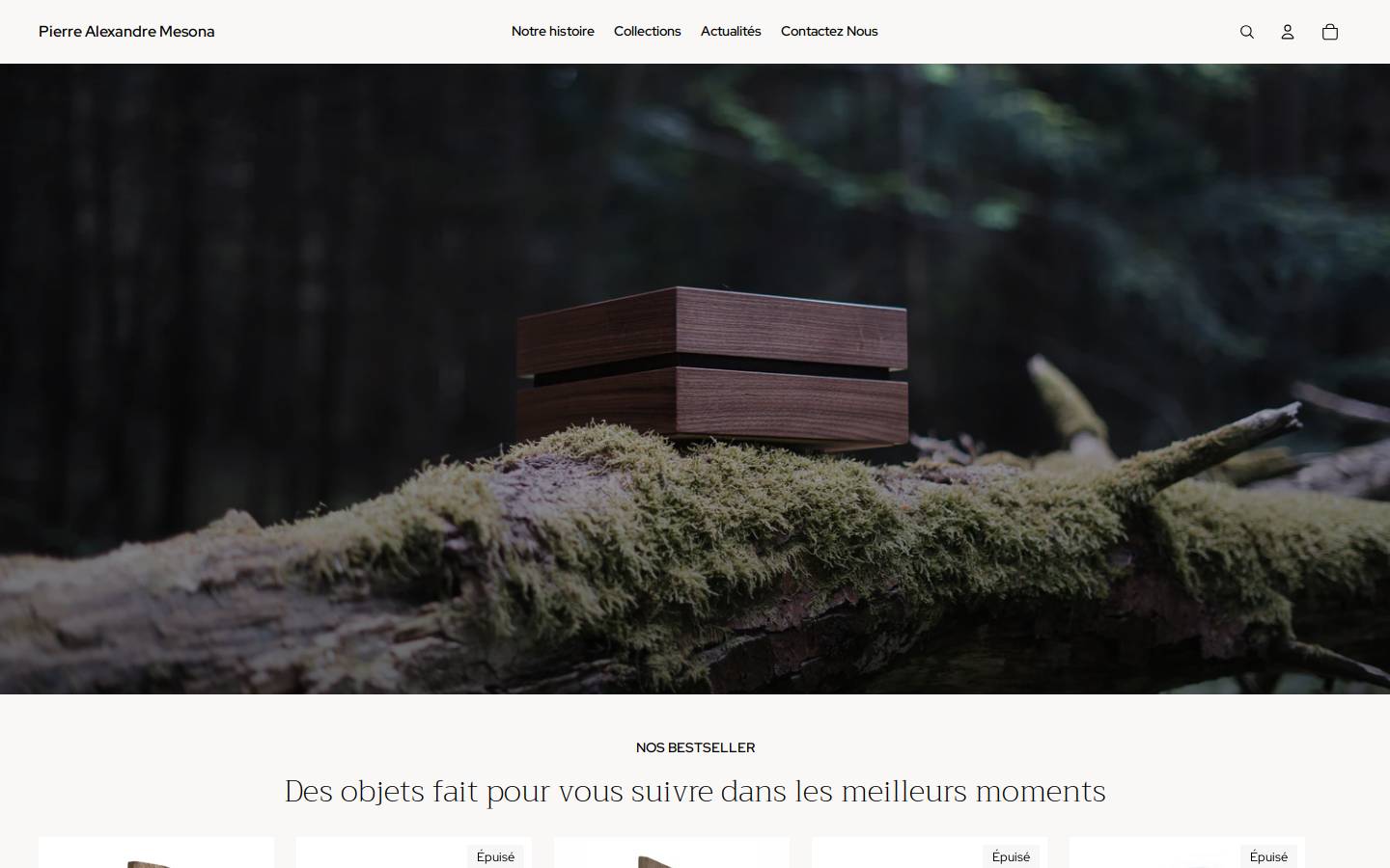 pierre-alexandre-mesona.fr homepage screenshot