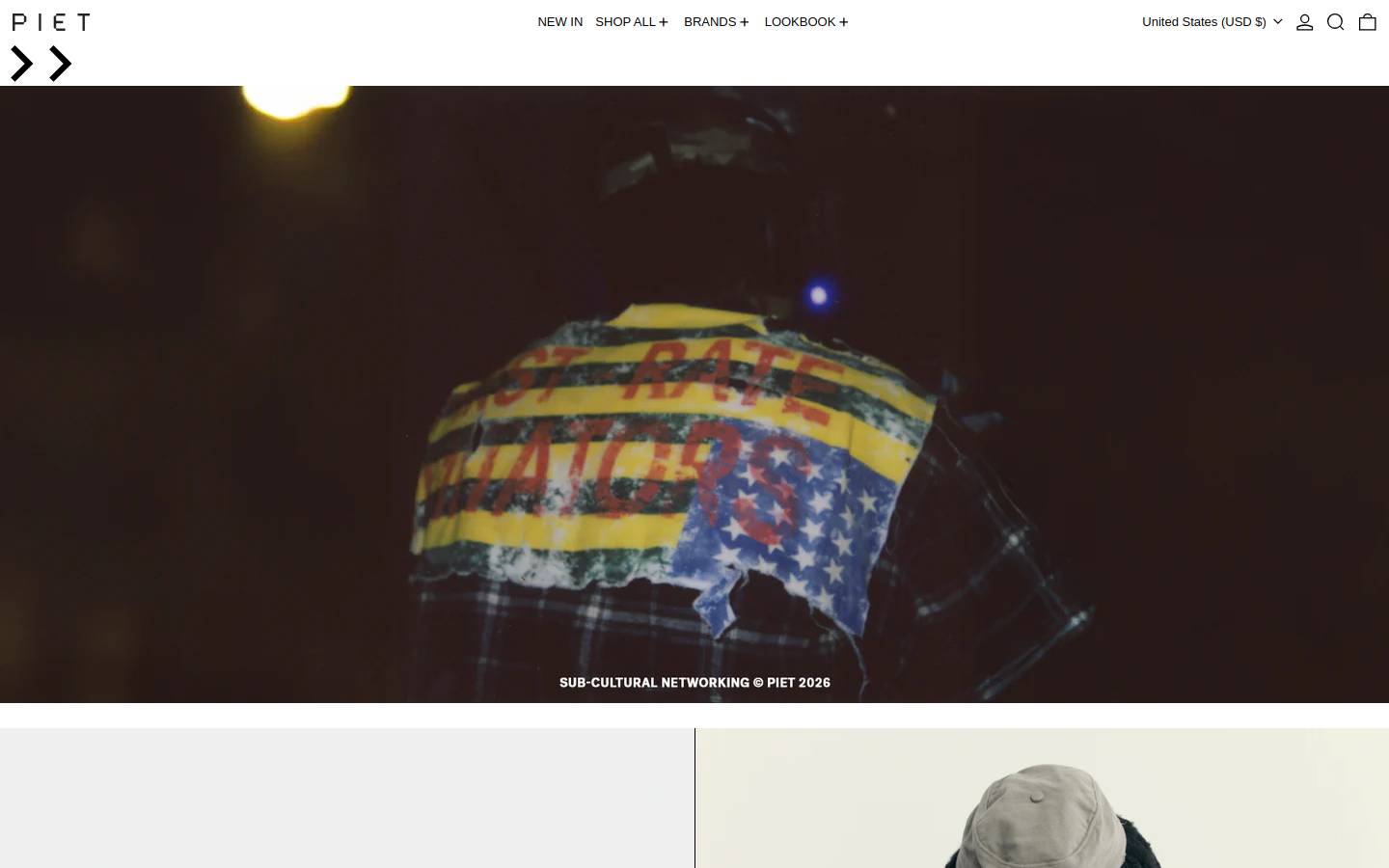 pietsp.com homepage screenshot