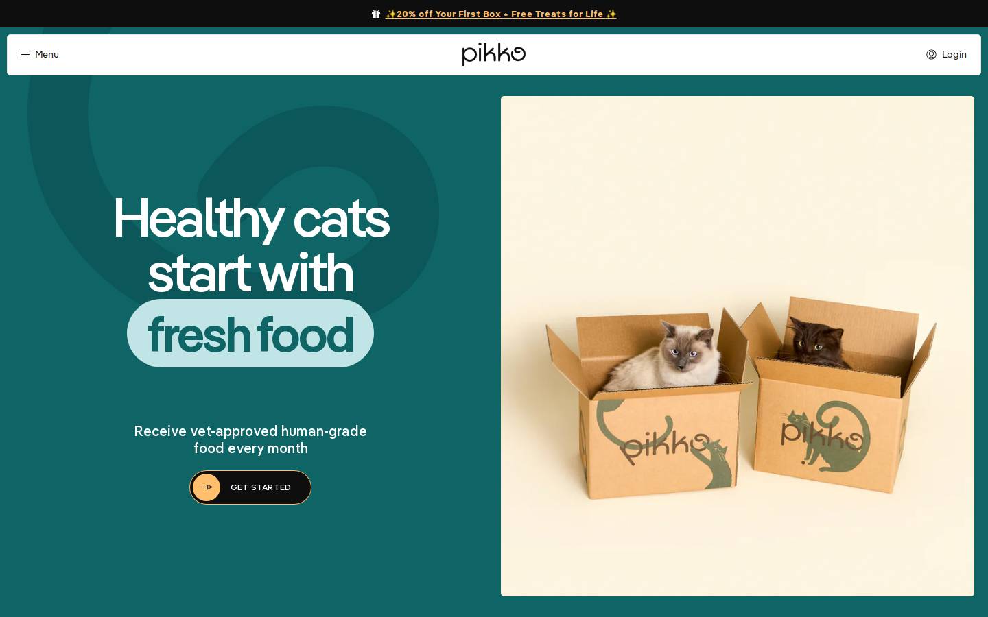 Pikko homepage screenshot