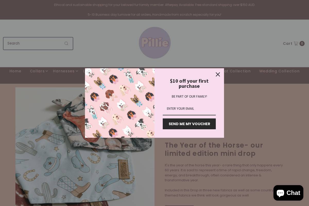 pilliepooches.com homepage screenshot