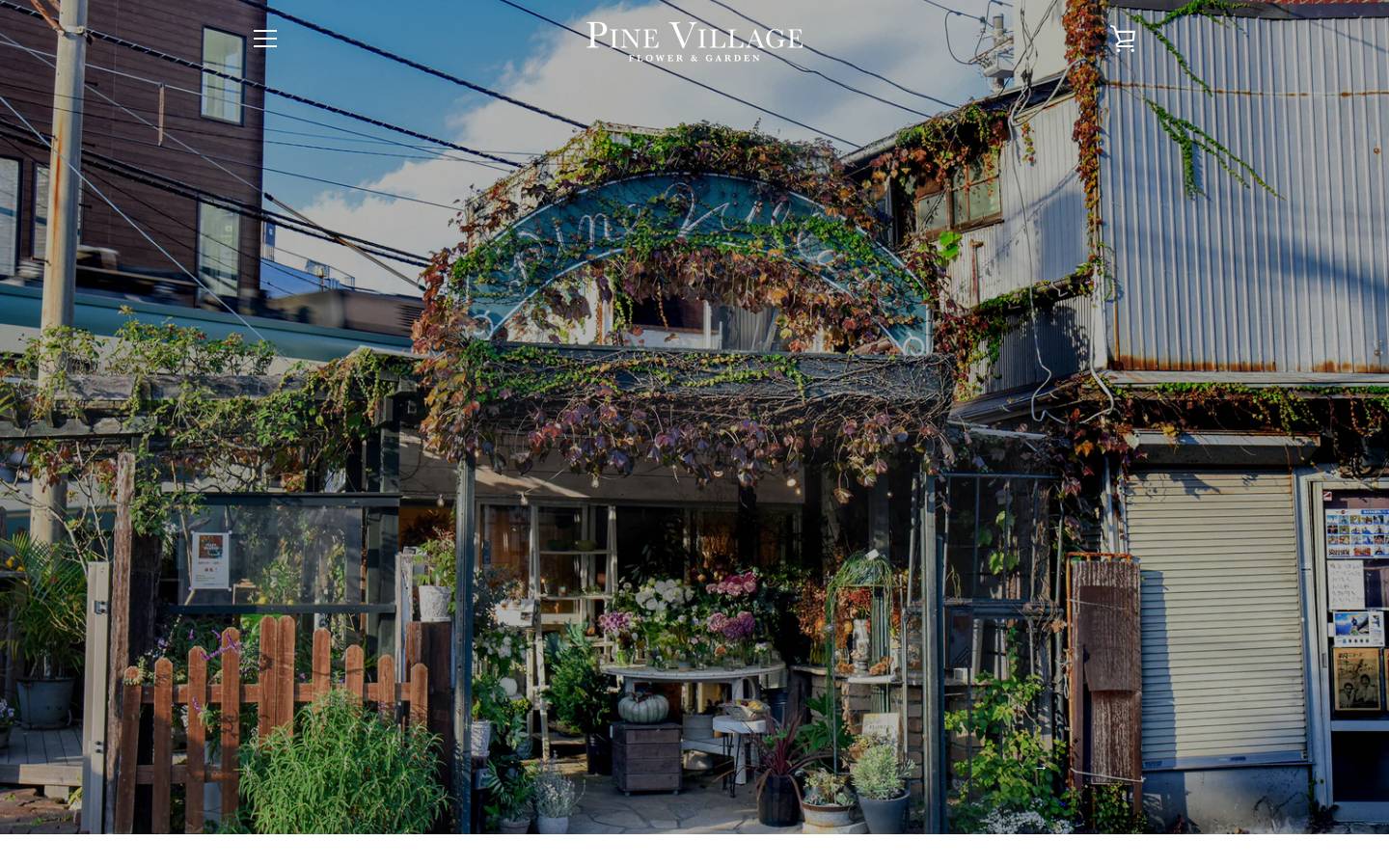 pinevillage.online homepage screenshot