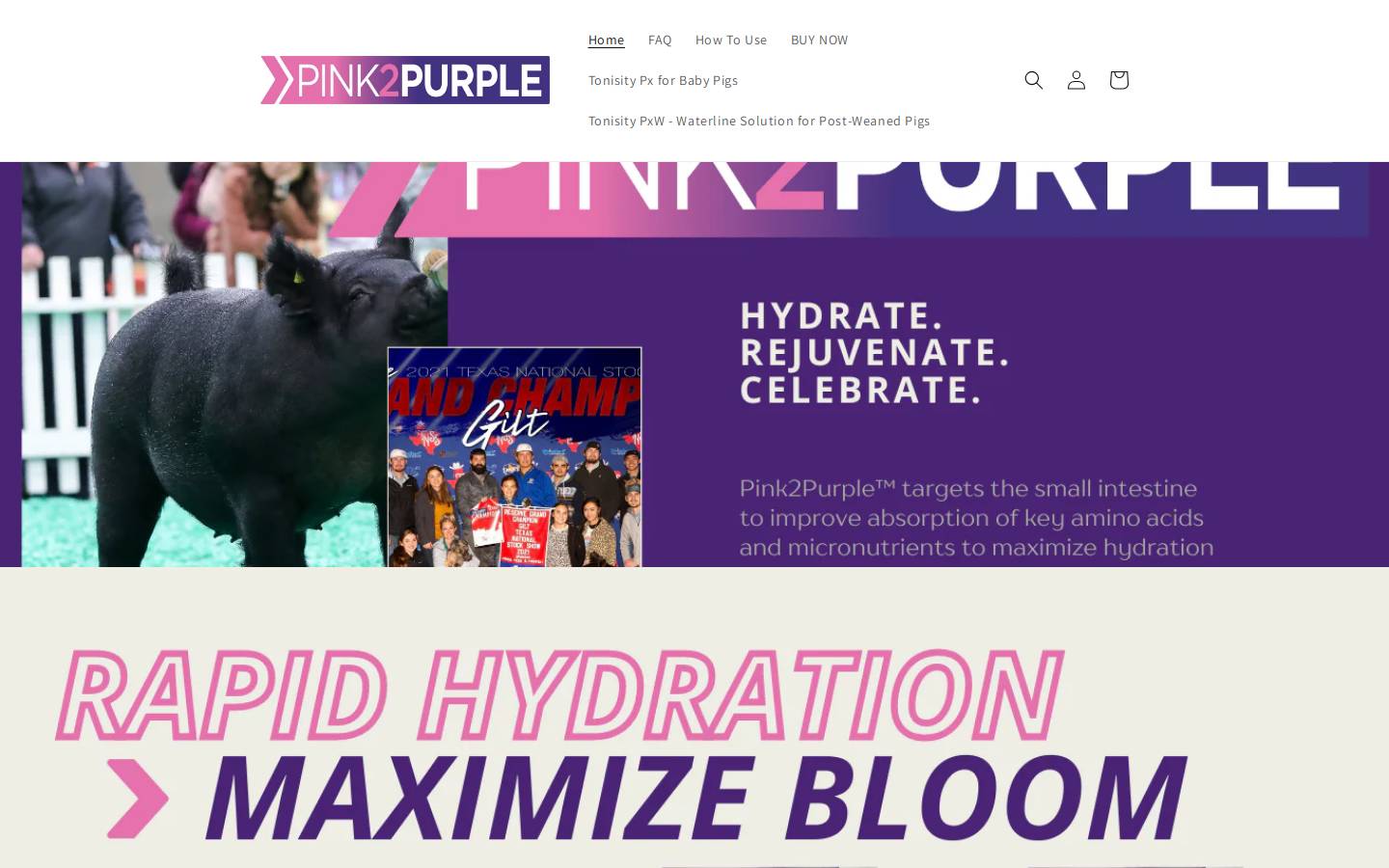 pink2purple.com homepage screenshot