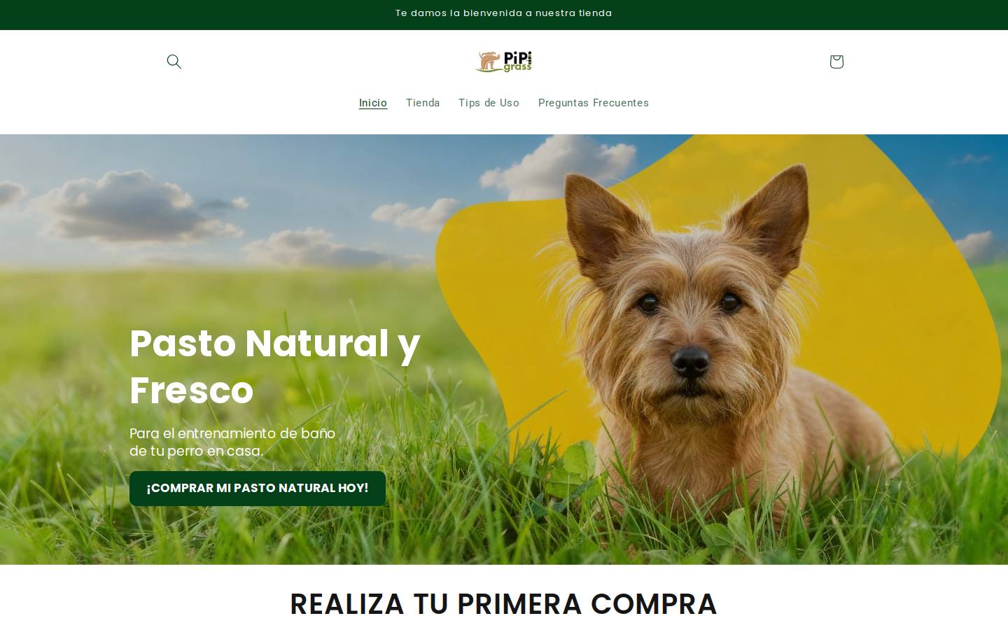 pipigrass.com homepage screenshot