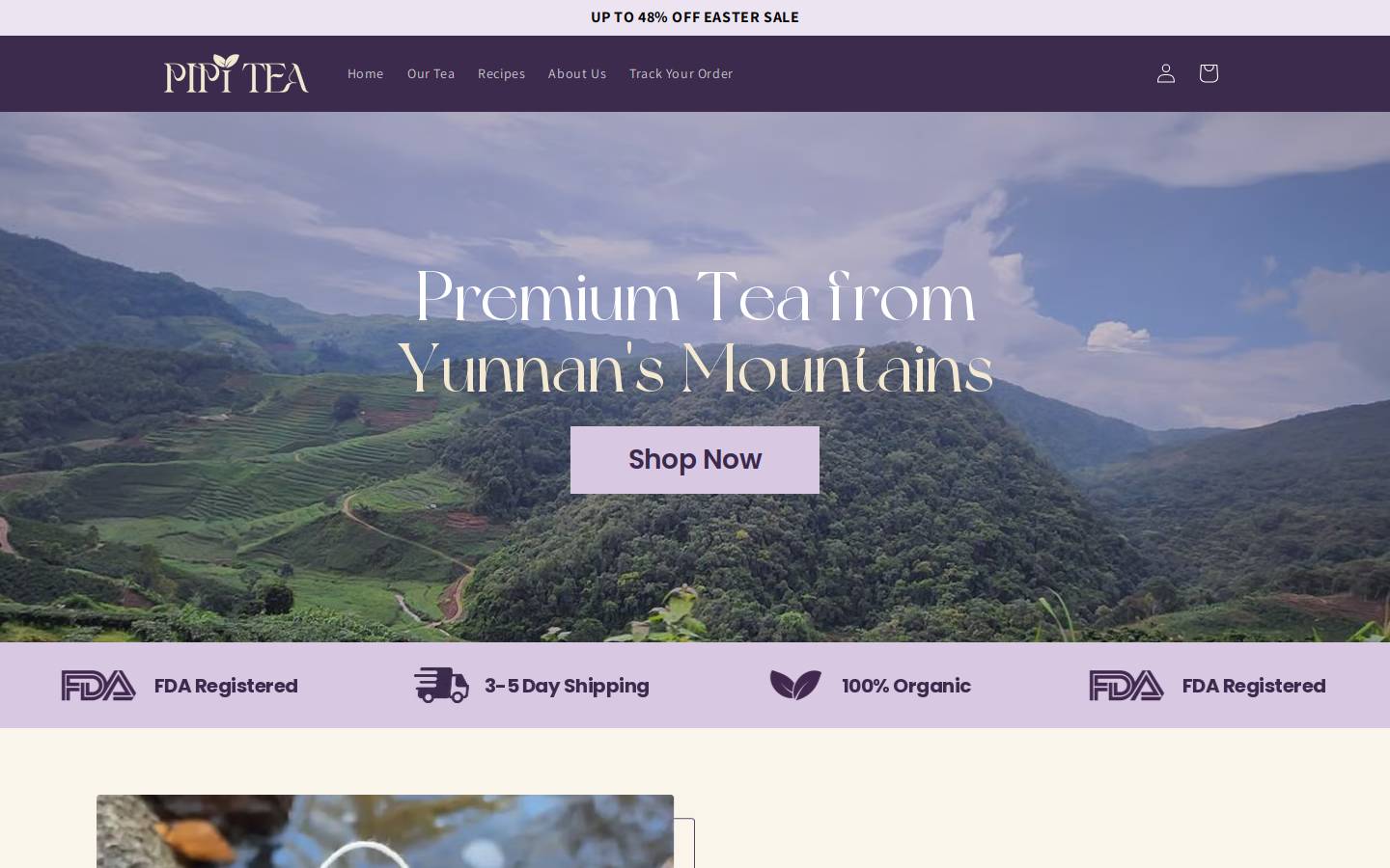 pipitea.com homepage screenshot