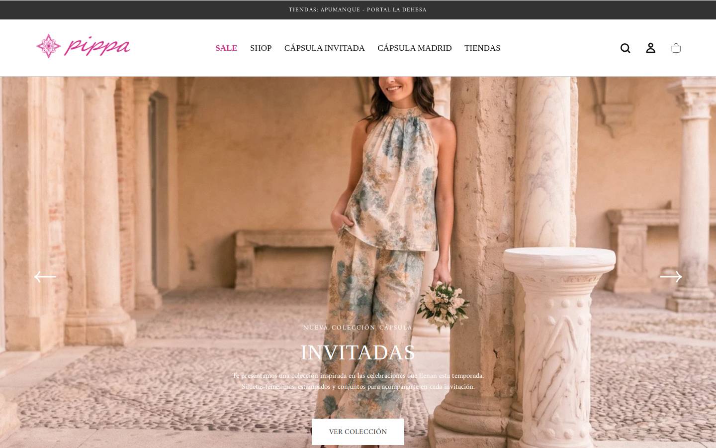 pippa.cl homepage screenshot