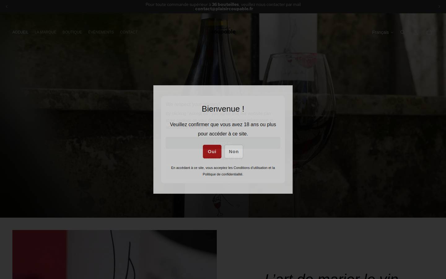 plaisircoupable.fr homepage screenshot
