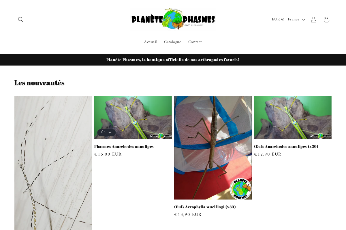 Planète Phasmes homepage screenshot