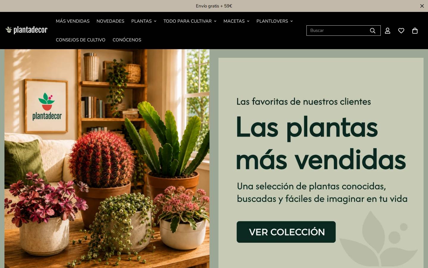 Plantadecor homepage screenshot