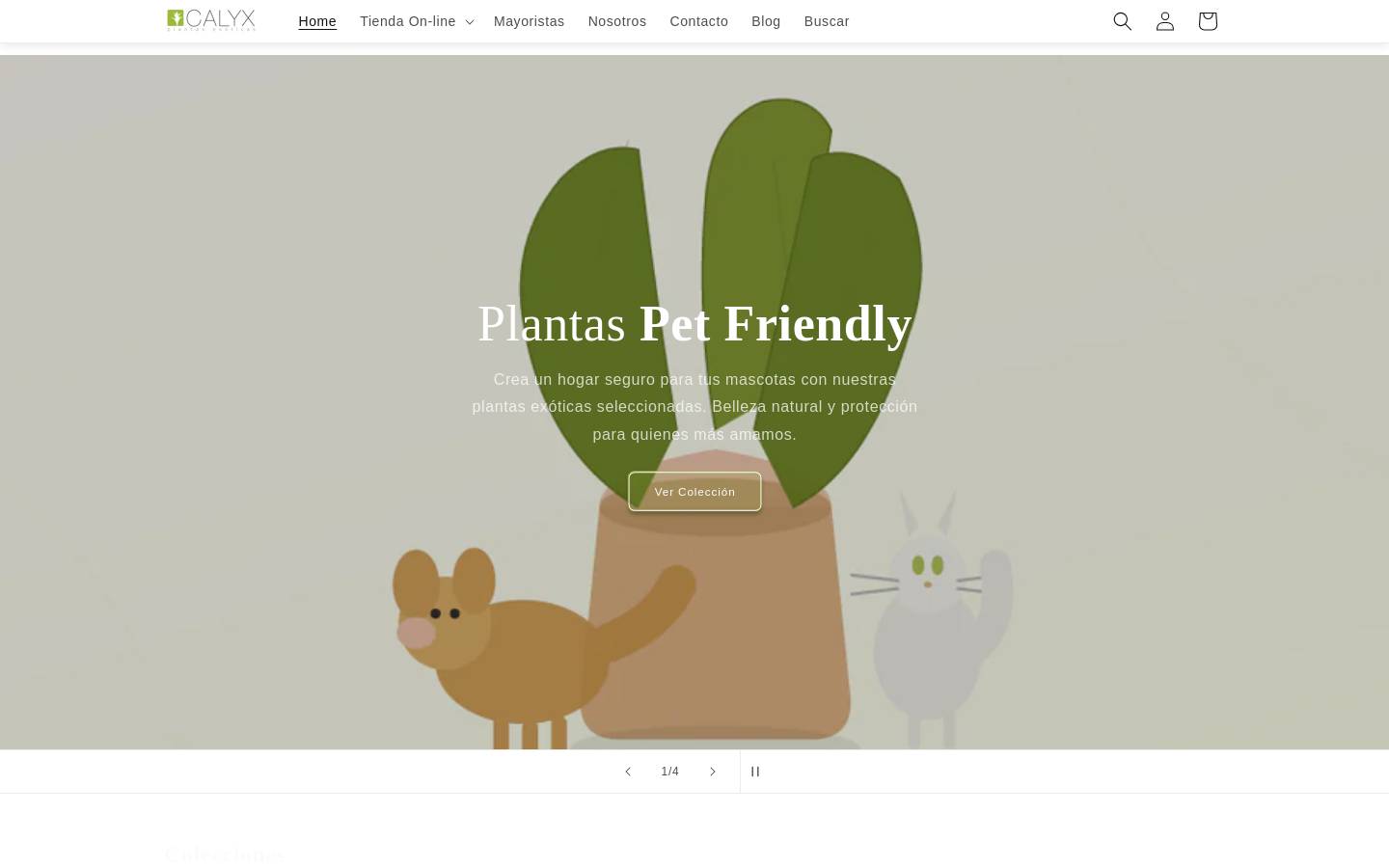 plantascalyx.com homepage screenshot