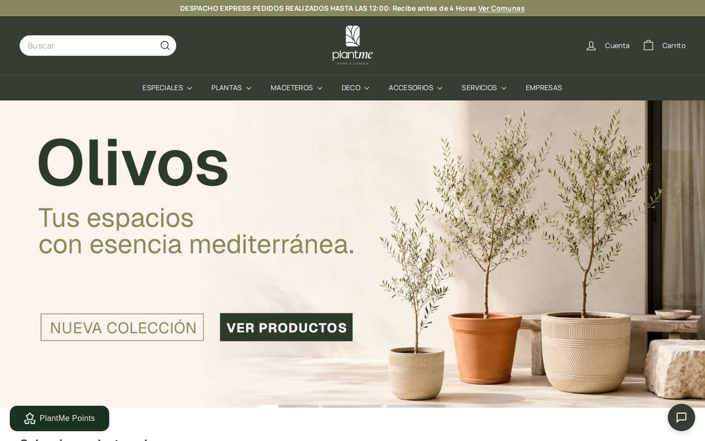 plantme.cl homepage screenshot