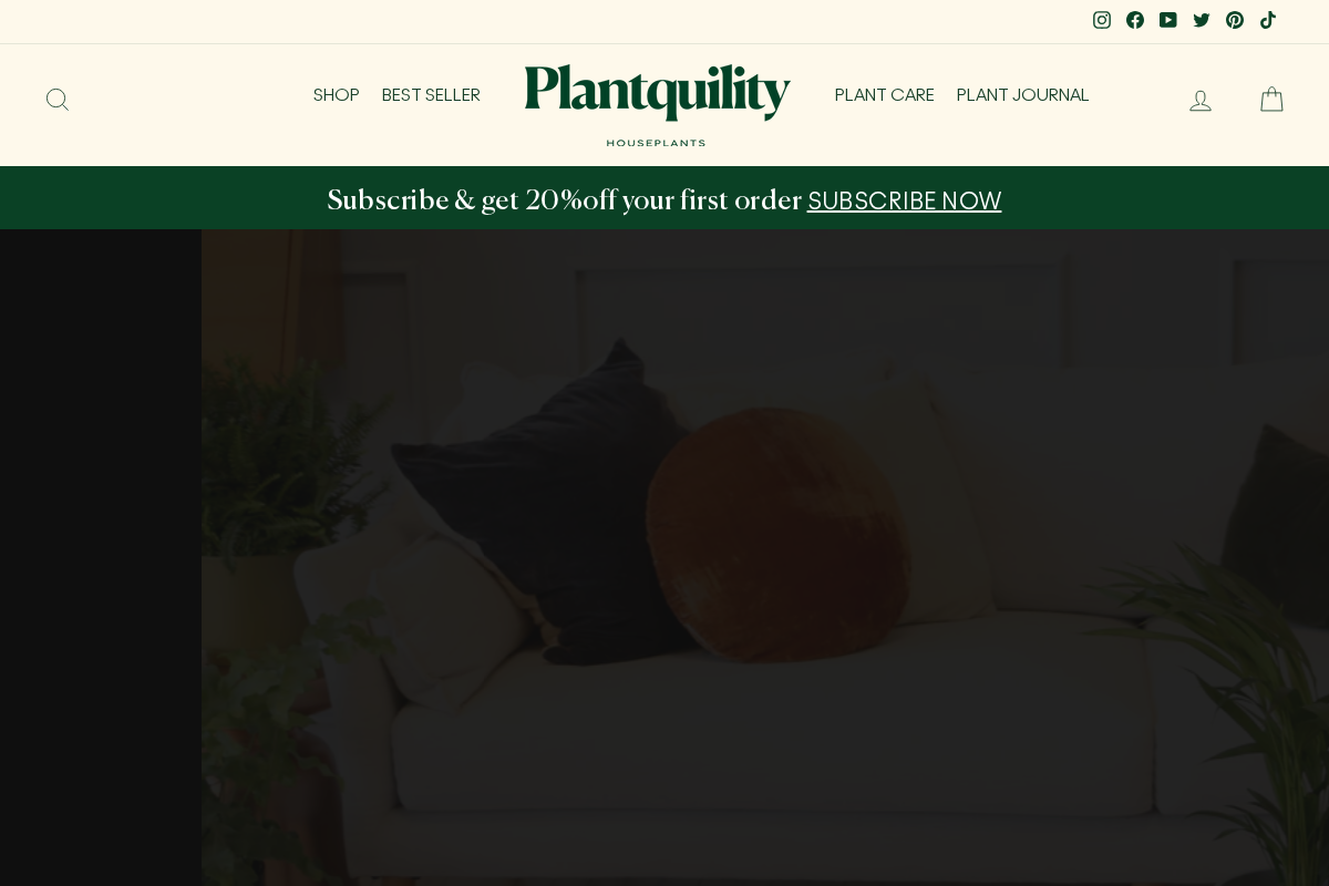 plantquility.com homepage screenshot