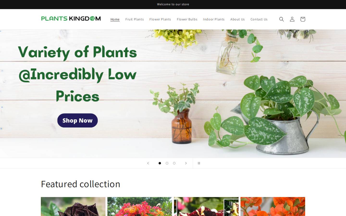 plantskingdom.in homepage screenshot